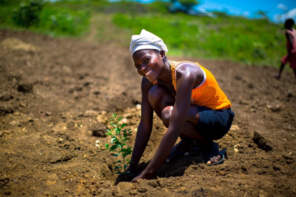 f BnTree Reforesting the planet with BedAndTree solo lady 1024x682 - B’n’Tree - die Reiseplattform die Bäume pflanzt